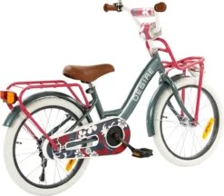 2Cycle Desire Kinderfiets - 18 Inch - Voordrager - Grijs - Meisjesfiets 10 2Cycle Desire Kinderfiets - 18 Inch - Voordrager - Grijs - Meisjesfiets -Speelgoed 1200x1049 3