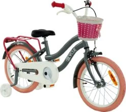 2Cycle Pretty Meisjesfiets - 16 Inch - Grijs-Roze - Meisjesfiets 11 2Cycle Pretty Meisjesfiets - 16 Inch - Grijs-Roze - Meisjesfiets -Speelgoed 1200x1062 1