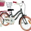 2Cycle Pretty Meisjesfiets - 16 Inch - Grijs-Roze - Meisjesfiets -Speelgoed 1200x1063
