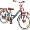2Cycle Desire Kinderfiets - 20 Inch - Voordrager -Grijs-Roze - Meisjesfiets -Speelgoed 1200x1113