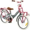 2Cycle Desire Kinderfiets - 18 Inch - Voordrager - Grijs - Meisjesfiets -Speelgoed 1200x1193