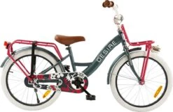 2Cycle Desire Kinderfiets - 20 Inch - Voordrager -Grijs-Roze - Meisjesfiets -Speelgoed 1200x783 3