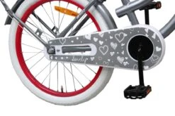 Amigo Lovely - Kinderfiets 20 Inch - Meisjes - Grijs -Speelgoed 1200x800 40