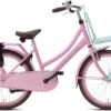 Valetta Cargo - Transportfiets - Meisjesfiets - 22 Inch - Mint Roze -Speelgoed 1200x801 1