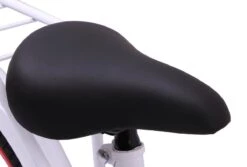 Amigo Sweetheart Meisjesfiets - Kinderfiets 20 Inch - Wit -Speelgoed 1200x813