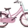 Valetta Cargo - Transportfiets - Meisjesfiets - 20 Inch - Mint Roze 1 Valetta Cargo - Transportfiets - Meisjesfiets - 20 Inch - Mint Roze -Speelgoed 1200x833 1