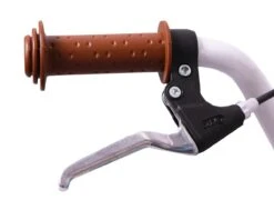 Amigo Bloom Meisjesfiets - Kinderfiets 20 Inch - Turquoise -Speelgoed 1200x876 1