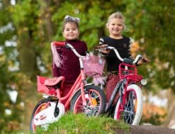 Amigo Magic Meisjesfiets - Kinderfiets 14 Inch - Wit 27 Amigo Magic Meisjesfiets - Kinderfiets 14 Inch - Wit -Speelgoed 1200x917 12