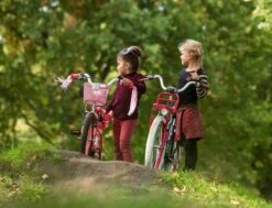 Amigo Bloom Meisjesfiets - Kinderfiets 20 Inch - Turquoise -Speelgoed 1200x917 46