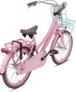 Valetta Cargo - Transportfiets - Meisjesfiets - 20 Inch - Mint Roze -Speelgoed 994x1200