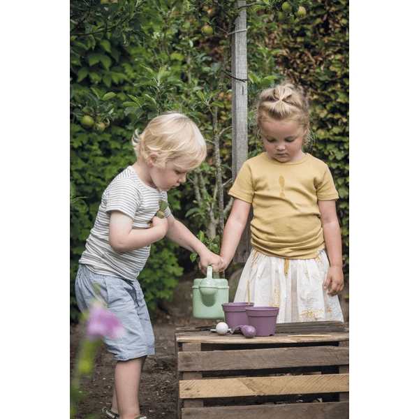 Dantoy Green Tuinplantenset 6 St. 4 Dantoy Green Tuinplantenset 6 St. - Afbeelding 2