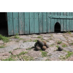 Helga Kreft Paardenuitwerpselen Speelset 10 Helga Kreft Paardenuitwerpselen Speelset -Speelgoed helga kreft paardenuitwerpselen speelset a292625 3