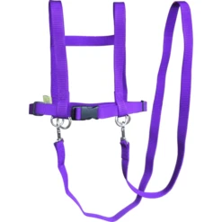 Helga Kreft Zügelmatz Paardenspeellijn, Paars -Speelgoed helga kreft zuegelmatz paardenspeellijn paars a334333 2