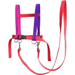 Helga Kreft Zügelmatz® Paardenspeellijn, Rood Gekleurd 8 Helga Kreft Zügelmatz® Paardenspeellijn, Rood Gekleurd -Speelgoed helga kreft zuegelmatz paardenspeellijn rood gekleurd a334335 2