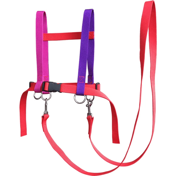 Helga Kreft Zügelmatz® Paardenspeellijn, Rood Gekleurd 5 Helga Kreft Zügelmatz® Paardenspeellijn, Rood Gekleurd - Afbeelding 3